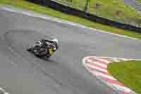 Advanced Group Multicolour Bikes